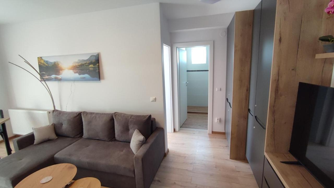 Apartment Joerg Sibiu Exteriér fotografie